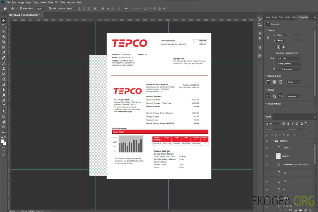 Facture commerciale du service public d'électricité de la Tokyo Electric Power Company (TEPCO), SCR template